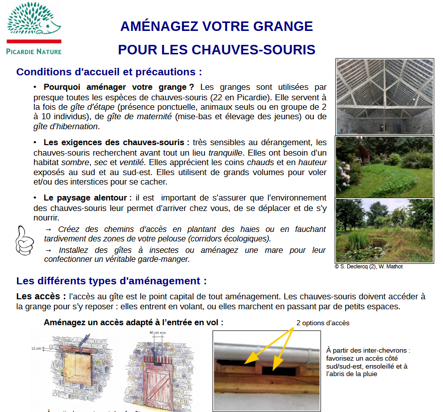 Aménager votre grange pour les chauves-souris