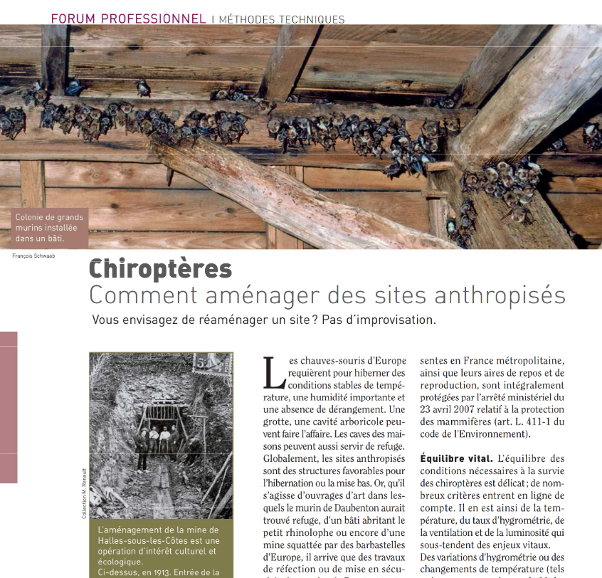 Chiroptères – Comment aménager des sites anthropisés