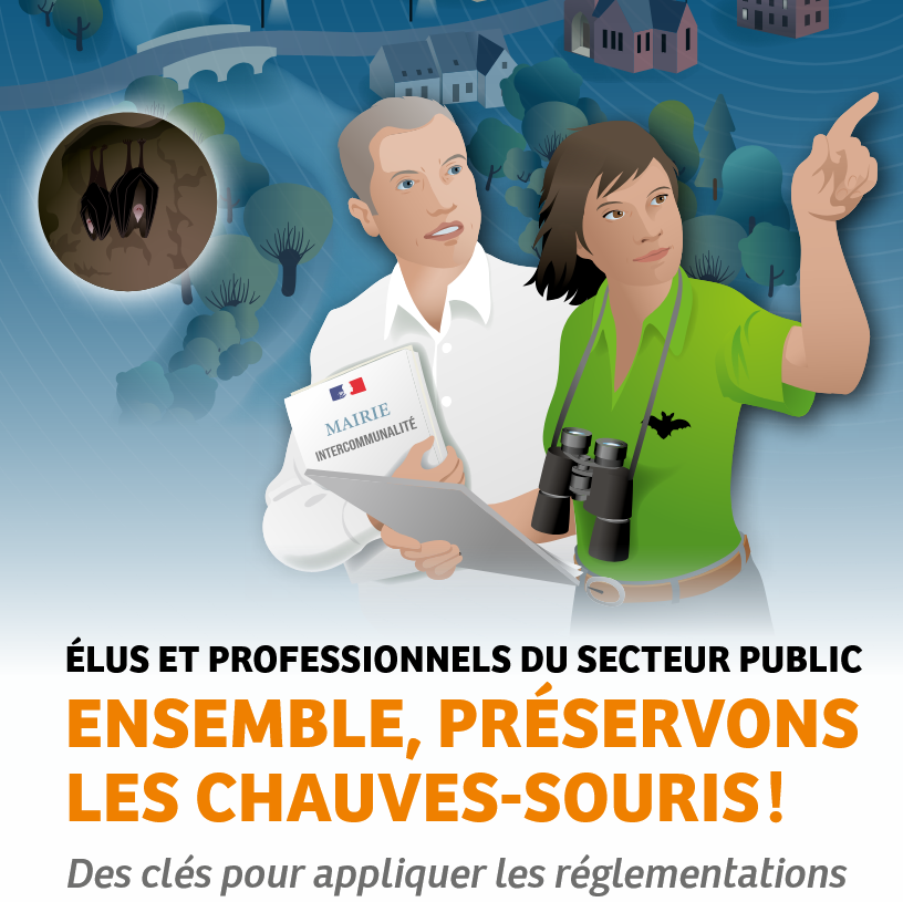 Élus et professionnel du secteur public : ensemble, préservons les chauves-souris