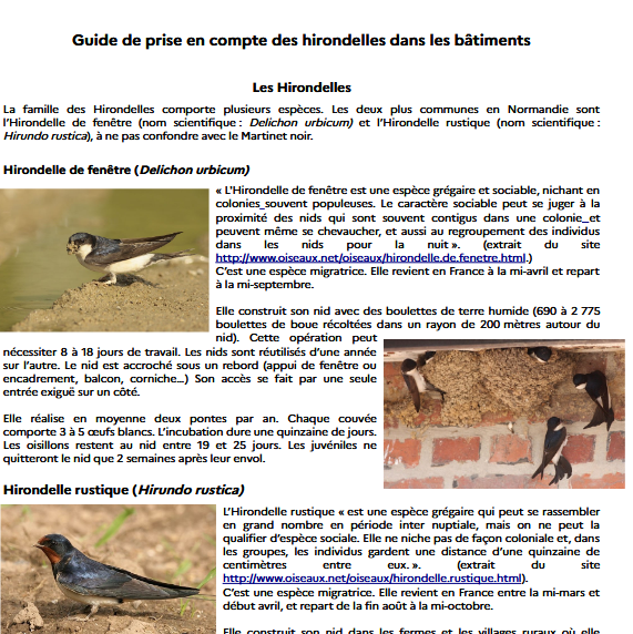 Guide de prise en compte des hirondelles dans les bâtiments
