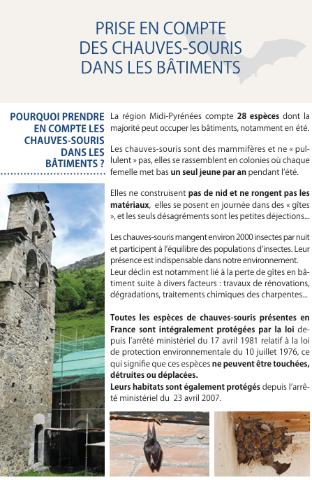 Prise en compte des chauves-souris dans les bâtiments