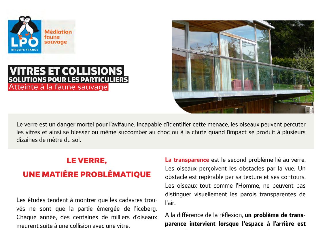 Fiche médiation faune sauvage : Vitres et collisions : solutions pour les particuliers