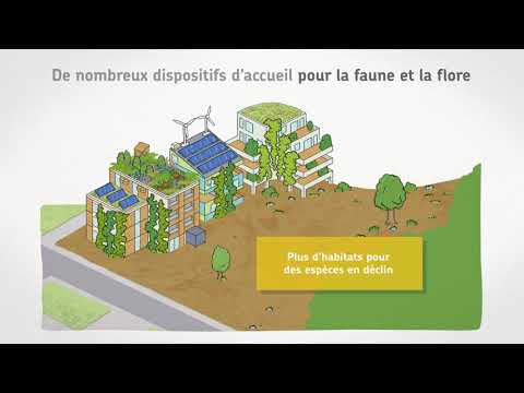 Bâtiment et biodiversité : et si on pensait les villes et les bâtiments comme des écosystèmes ?