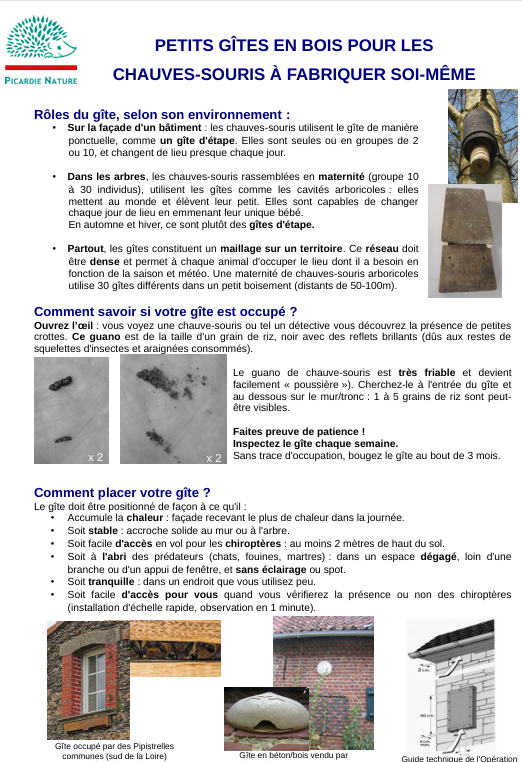 Petits gîtes en bois pour les chauves-souris à fabriquer soi-même