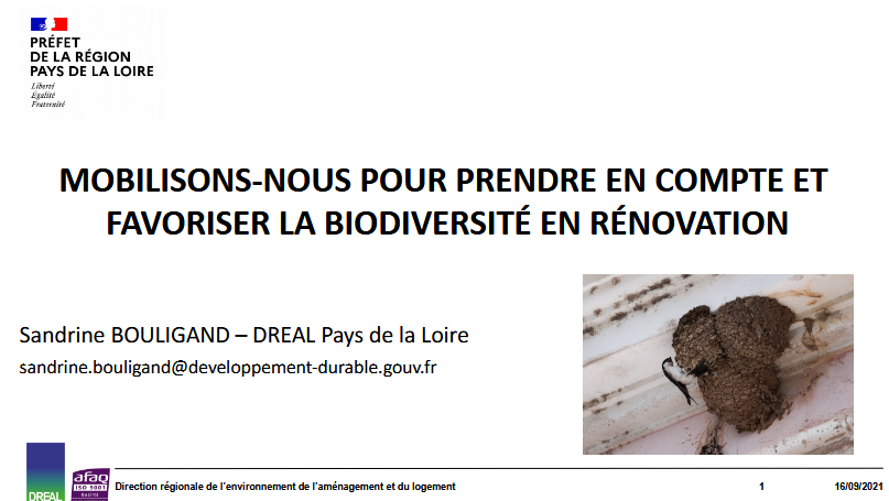 Mobilisons-nous pour prendre en compte et favoriser la biodiversité en rénovation – aspects réglementaires