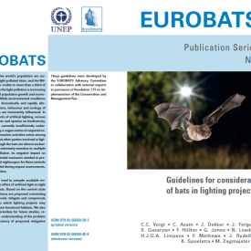 Guidelines Bats Lighting Project