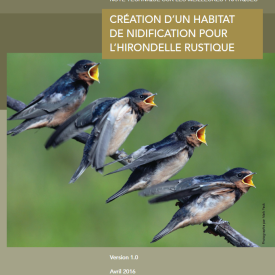 Creation Habitat Hirondelle Rustique