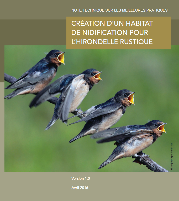 Creation Habitat Hirondelle Rustique
