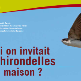 Et Si Hirondelle Maison