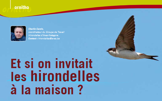 Et Si Hirondelle Maison
